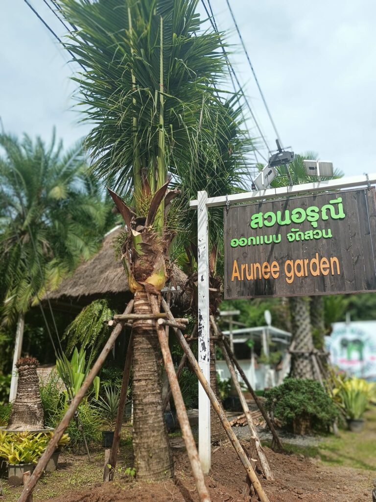 ร้านต้นไม้ ภูเก็ต
